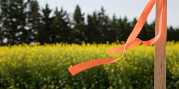 Boundary & Property Line Surveys in Massachusetts