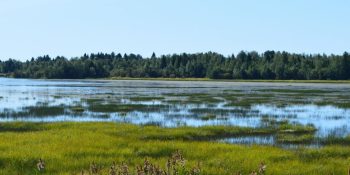 Wetland & Environmental Mapping in Massachusetts