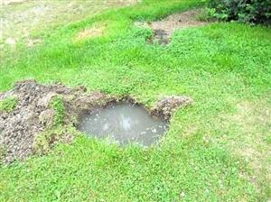 A small muddy puddle surrounded by green grass and soil on a lawn, with patches of bare ground nearby.